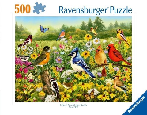 Puzzle 2D: Ptaki 500el Puzzle 2D: Ptaki 500el