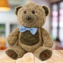 LEAN Toys Pluszowa Maskotka Przytulanka Miś Niebieska Mucha Jasnobrązowy 30cm