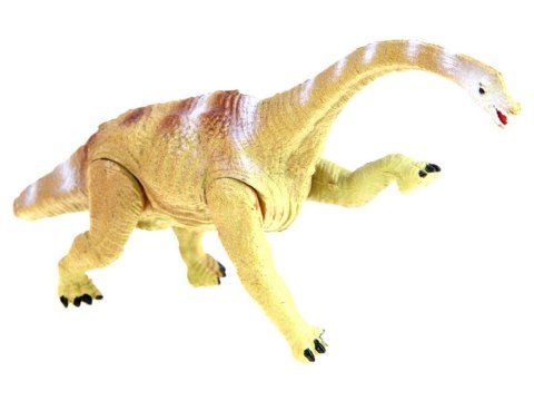 Zestaw Dinozaurów malowane Figurki DINOZAURY różne rodzaje 6 sztuk ZA2051 Zestaw Dinozaurów malowane Figurki DINOZAURY różne rodzaje 6 sztuk ZA2051