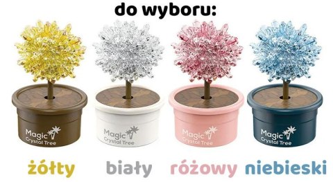 Zestaw Hodowla kryształów drzewko szczęścia ZA4323 Zestaw Hodowla kryształów drzewko szczęścia ZA4323