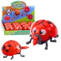 LEAN TOYS Nakręcana Zabawka Biedronka Porusza Kończynami Skrzydełkami