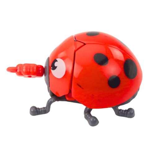 LEAN TOYS Nakręcana Zabawka Biedronka Porusza Kończynami Skrzydełkami LEAN TOYS Nakręcana Zabawka Biedronka Porusza Kończynami Skrzydełkami