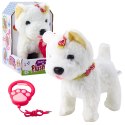 LEAN Toys Interaktywny Piesek Z Kokardkami Na Smyczy Chodzi Szczeka Biały