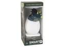 LEAN Toys Lampka Nocna LED Jajko Dinozaur Triceratops Mirco USB