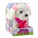 LEAN Toys Interaktywny Piesek Pudel Z Kokardkami Na Smyczy Chodzi Szczeka Biały