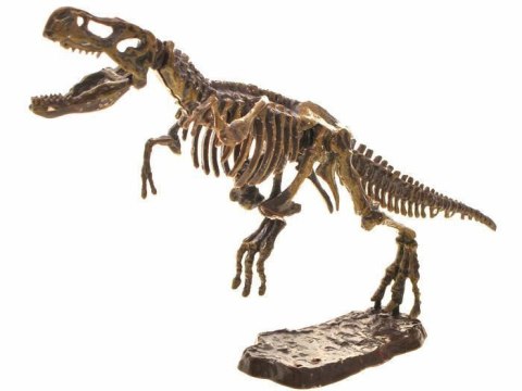 Szkielet T-REX 3D wykopaliska zestaw ZA1777 A Szkielet T-REX 3D wykopaliska zestaw ZA1777 A