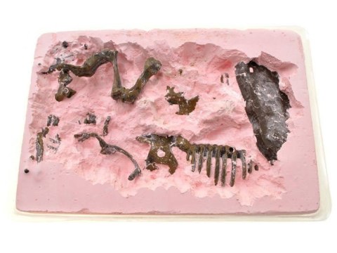 Szkielet T-REX 3D wykopaliska zestaw ZA1777 A Szkielet T-REX 3D wykopaliska zestaw ZA1777 A
