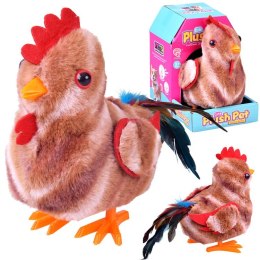 Dreptający KOGUT Bogdan kukuryku! - pieje i macha skrzydłami ZA6018