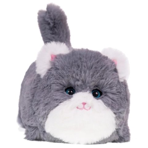 Interaktywny kot szary