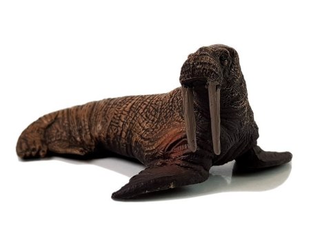 LEAN Toys Figurki Edukacyjne Morskie Zwierzęta 8 Elementów Rekiny Foka Delfin Mors Żółw