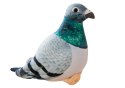 LEAN Toys Maskotka Pluszowy Gołąb Grzywacz Szary 20cm