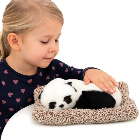 LEAN Toys Śpiąca Panda Na Poduszce Figurka z Futerkiem Przeźroczysta Torba