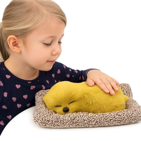 LEAN Toys Śpiący Pies Labrador Na Poduszce Figurka z Futerkiem Torba Dźwięki