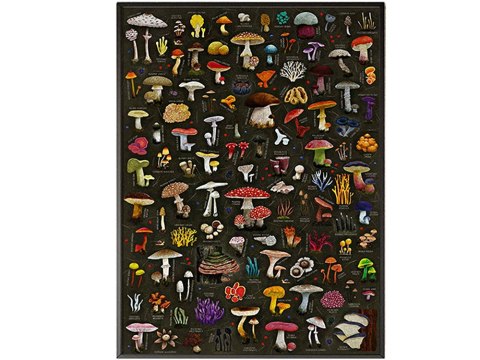 CzuCzu Puzzlove Puzzle GRZYBY 1000 elementów ZA5620