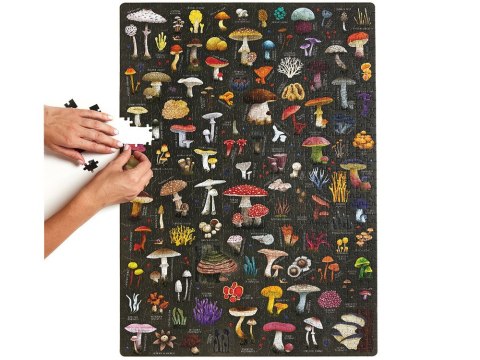 CzuCzu Puzzlove Puzzle GRZYBY 1000 elementów ZA5620