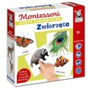 Kapitan Nauka Gra edukacyjna MONTESSORI Karty sensoryczne. Zwierzęta 2+ KS1019