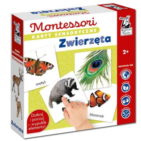 Kapitan Nauka Gra edukacyjna MONTESSORI Karty sensoryczne. Zwierzęta 2+ KS1019