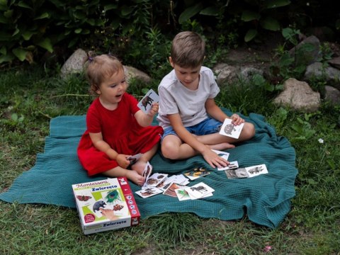 Kapitan Nauka Gra edukacyjna MONTESSORI Karty sensoryczne. Zwierzęta 2+ KS1019