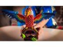 Alexander zestaw kreatywny Origami 3D - Papuga ZA6074