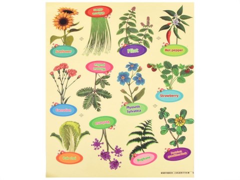 Zestaw Małego Ogrodnika BIO Szklarnia Nasiona Doniczki Uprawa Roślin ZA5776