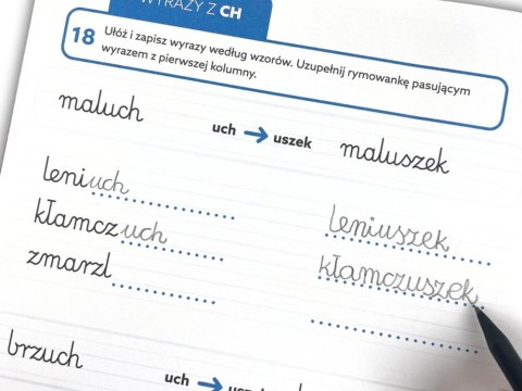 Kapitan Nauka EDUseria. Ortografia. Ćwiczenia KS1203