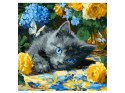 Malowanie po numerach 40 x 40 cm KHO6795 Błękitnookie kocię AP0098