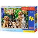 Puzzle 100-elementów Puppies, Laundry and Bird Antics B-111305