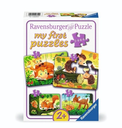 Puzzle 2/4/6/8 Forest Animal Fun