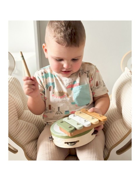 VIGA PolarB Zestaw Instrumentów Muzycznych Z Ptaszkiem