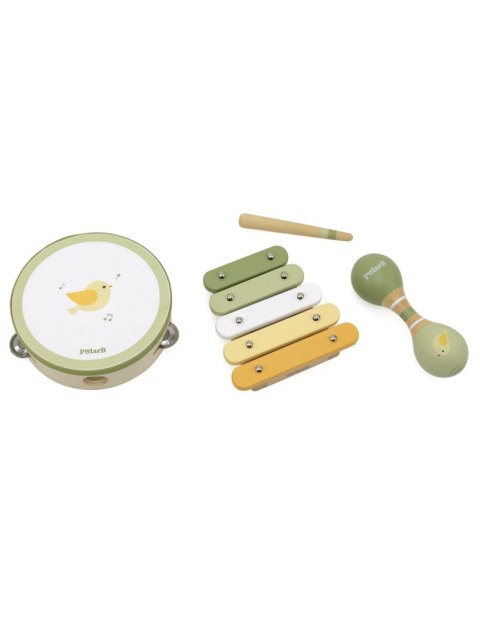 VIGA PolarB Zestaw Instrumentów Muzycznych Z Ptaszkiem