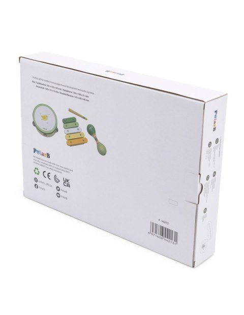 VIGA PolarB Zestaw Instrumentów Muzycznych Z Ptaszkiem