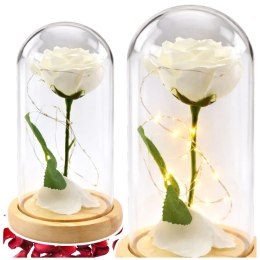 LEAN Wieczna Róża W Szkle Kopuła Oświetlenie LED Biała 21x11cm