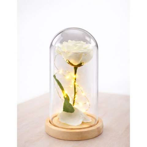 LEAN Wieczna Róża W Szkle Kopuła Oświetlenie LED Biała 21x11cm