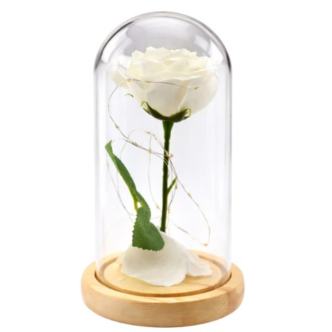 LEAN Wieczna Róża W Szkle Kopuła Oświetlenie LED Biała 21x11cm