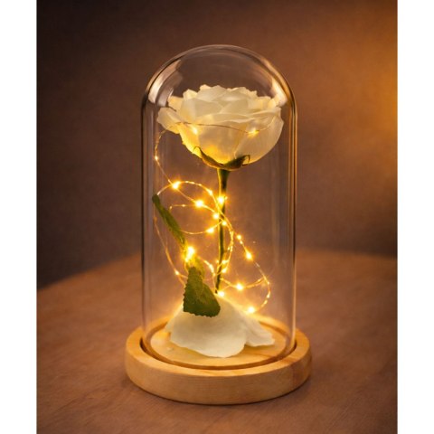 LEAN Wieczna Róża W Szkle Kopuła Oświetlenie LED Biała 21x11cm