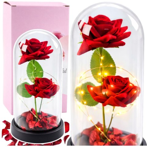 LEAN Wieczne 2 Róże w Kopule z Oświetleniem LED i Płatkami Róż Czerwone 21x11cm