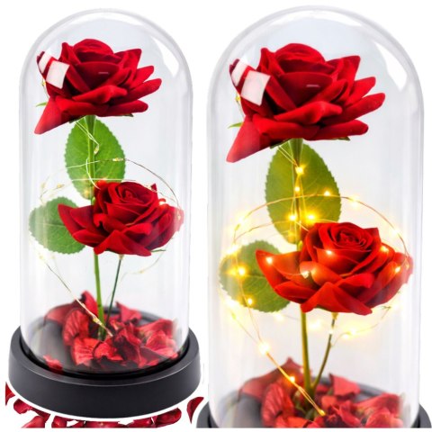 LEAN Wieczne 2 Róże w Kopule z Oświetleniem LED i Płatkami Róż Czerwone 21x11cm