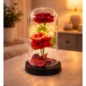 LEAN Wieczne 2 Róże w Kopule z Oświetleniem LED i Płatkami Róż Czerwone 21x11cm