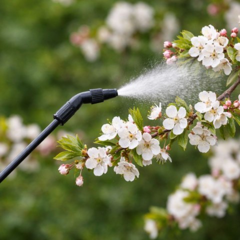LEAN Ręczny Opryskiwacz Ciśnieniowy Do Podlewania Nawożenia Opryskiwania LEAN 3L