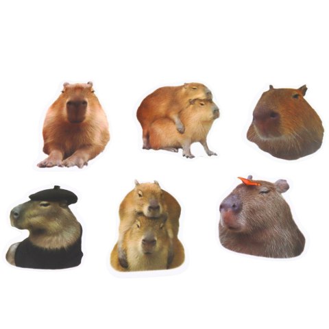 LEAN Zestaw Naklejki Kapibara Papierowe Prawdziwe Wizerunki 50 szt.