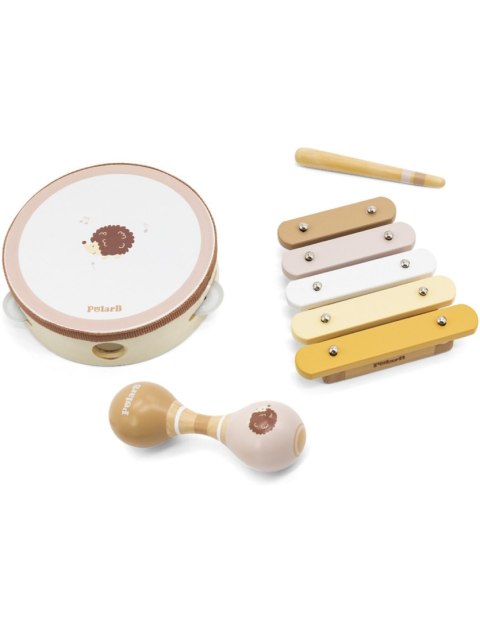 VIGA PolarB Zestaw Instrumentów Muzycznych Z Jeżykiem
