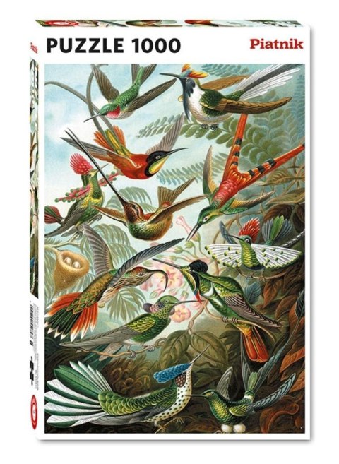 Puzzle 1000 - Haeckel, Kolibry PIATNIK Puzzle 1000 - Haeckel, Kolibry PIATNIK