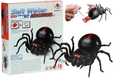 LEAN Toys Zestaw Kreatywny Pająk Zasilany Słoną Wodą DIY Czarny LEAN Toys Zestaw Kreatywny Pająk Zasilany Słoną Wodą DIY Czarny