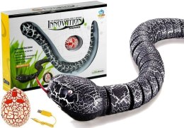LEAN Toys Wąż Sterowany Pilotem na Podczerwień Czarny