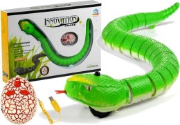LEAN Toys Wąż Sterowany Pilotem na Podczerwień Zielony