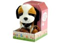 LEAN Toys Interaktywny Piesek Bernardyn Na Smyczy + Buda
