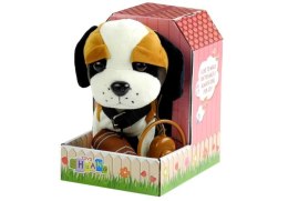 LEAN Toys Interaktywny Piesek Bernardyn Na Smyczy + Buda