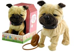 LEAN Toys Interaktywny Piesek Na Smyczy + Buda Beżowy