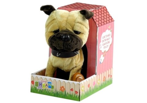 LEAN Toys Interaktywny Piesek Na Smyczy + Buda Beżowy LEAN Toys Interaktywny Piesek Na Smyczy + Buda Beżowy