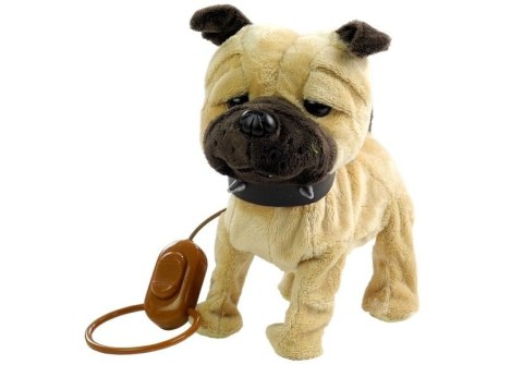 LEAN Toys Interaktywny Piesek Na Smyczy + Buda Beżowy LEAN Toys Interaktywny Piesek Na Smyczy + Buda Beżowy